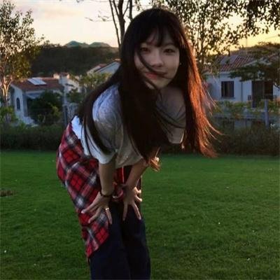 乌冬面之国的金色毛球